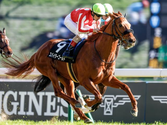 60％OFF】 CL by 競馬 C.ルメール ハイエンドキャップ JRA