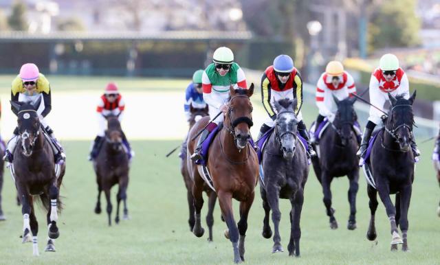 注目馬動向】連覇を狙うエフフォーリアが有馬記念へ向けて30日に帰厩 鹿戸調教師「背丈が伸びた」 | 競馬ニュース - netkeiba