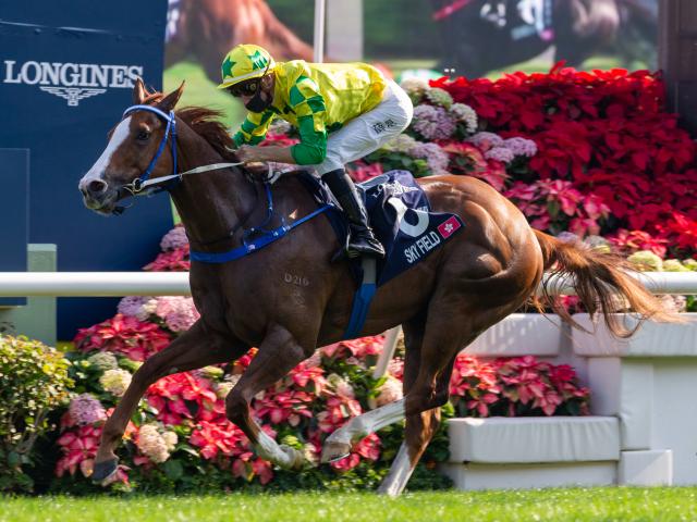 香港スプリント出走見込馬】メイケイエールなど日本馬4頭に昨年の覇者