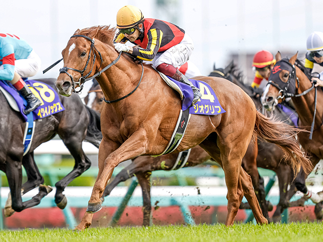 香港国際競走】ジオグリフ、サリオスなど美浦所属馬6頭が香港入り | 競馬ニュース - netkeiba