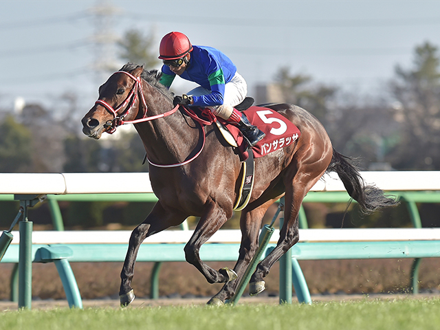 香港国際競走・注目馬】パンサラッサ、得意の大逃げで再び世界にサプライズを | 競馬ニュース - netkeiba