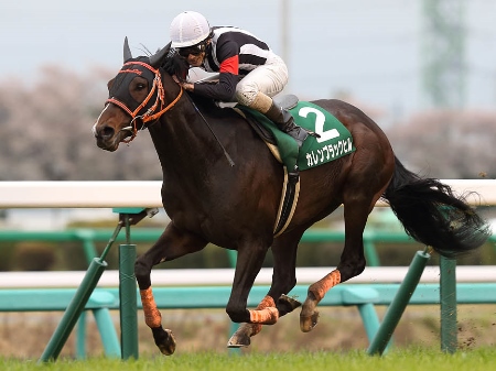 GI馬カレンブラックヒル復活！約1年6ヶ月ぶりV！/ダービー卿CT | 競馬