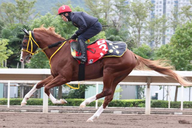 香港カップ】武豊騎手と初コンビのジャックドールは2番ゲート