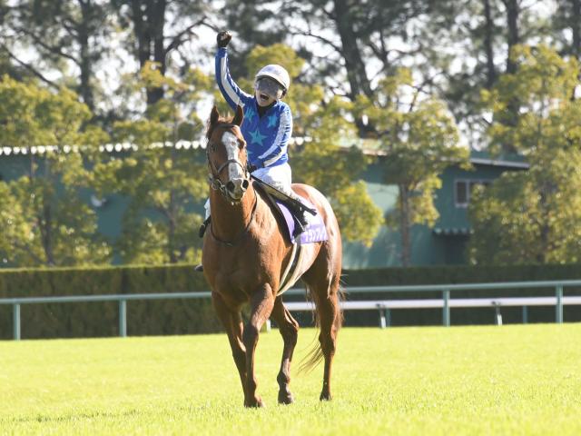 香港国際競走】日本馬14頭の香港馬名を紹介！ 日照飛駿・速度大師は