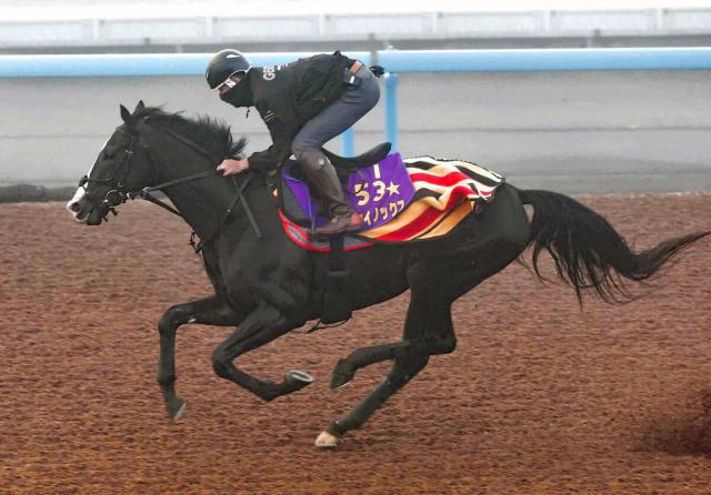 有馬記念】イクイノックスがWコース単走で2週前追い切り 陣営「軽すぎ 