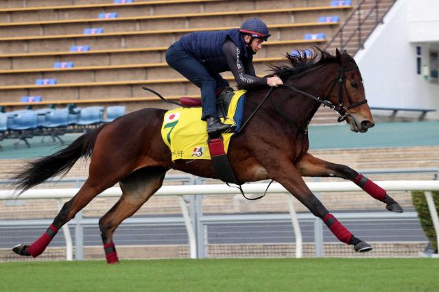 香港国際競走】日本で買うとおいしい馬は? | 競馬ニュース