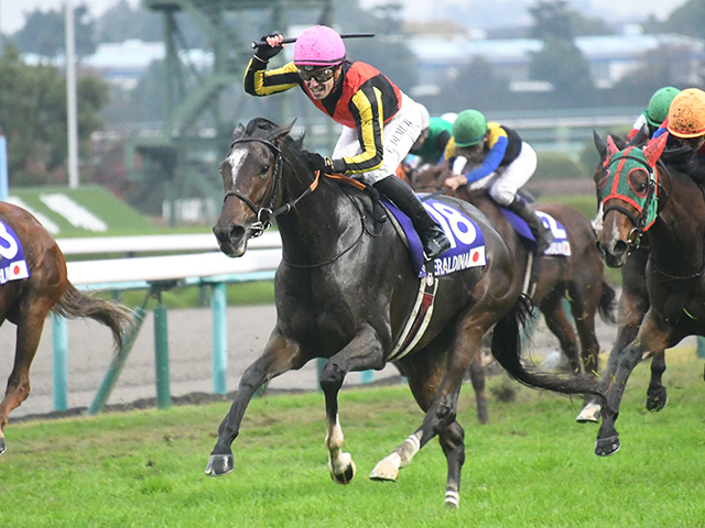 有馬記念・注目馬】ジェラルディーナ、母仔で制覇の快挙なるか | 競馬