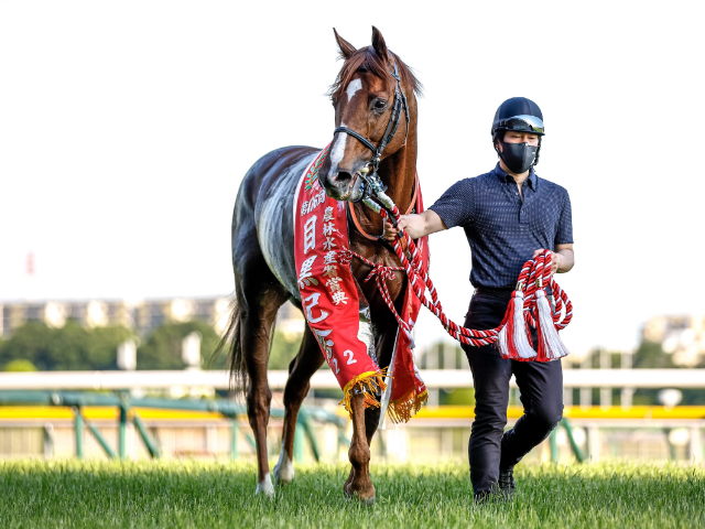 デウス エクスマキナ ダンスインザダーク 新馬戦(現地的中単勝