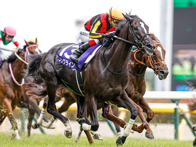 安田記念覇者ソングライン 2月の海外レースに予備登録 | 競馬ニュース