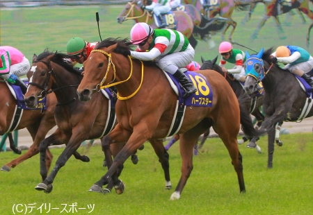 廃盤・レア品】競馬 ハープスター 2014桜花賞 - 印刷物