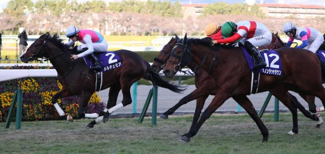 週刊GALLOP 誌上POG限定GⅠ優勝記念QUOカード☆2022朝日杯FS ドルチェ