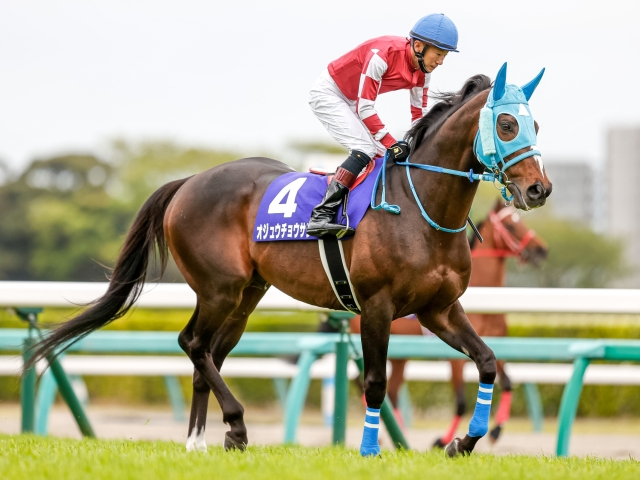 中山大障害】登録馬 オジュウチョウサン、ゼノヴァースなど11頭 | 競馬