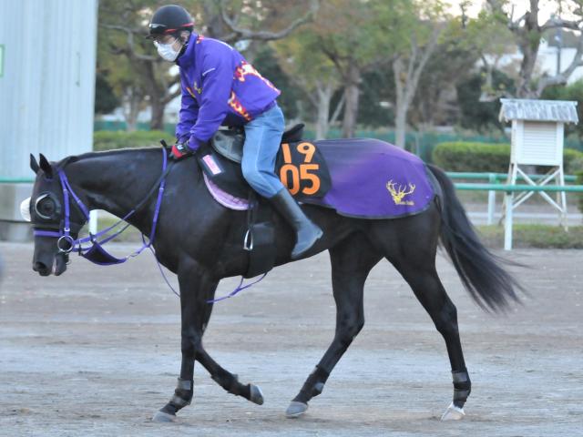 兄は年度代表馬エフフォーリア ペリファーニアが横山武史騎手で