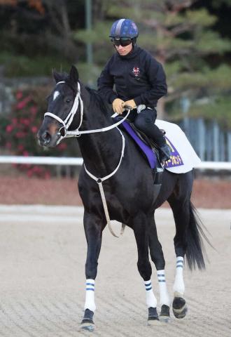 有馬記念】ディープボンド 昨年の忘れ物を取りにいく 凱旋門賞惨敗からの反抗再び | 競馬ニュース - netkeiba