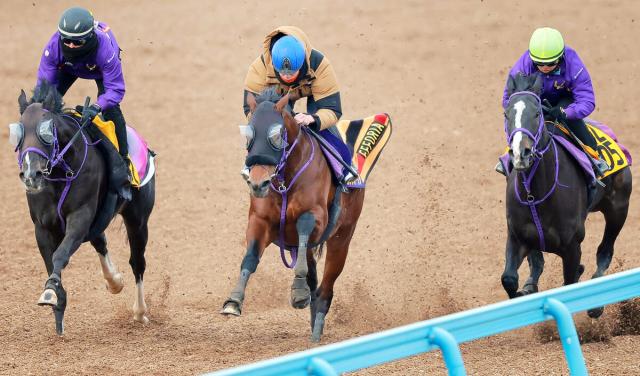 有馬記念】エフフォーリア動きには及第点も…横山武史「いい頃に比べると、前進気勢が物足りない」 | 競馬ニュース - netkeiba