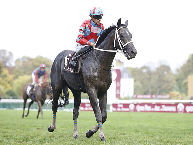 オルフェーヴル 馬券 新馬戦~有馬記念 - 趣味/スポーツ