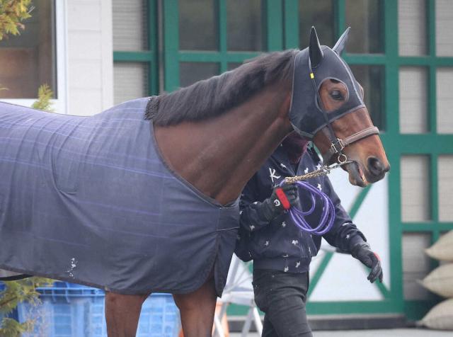 国内発送 2022 有馬記念 有馬記念 イクイノックス ブランケット 競馬