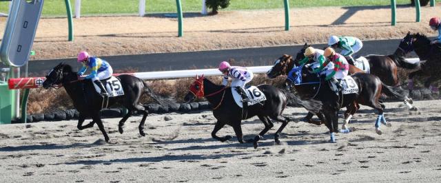 訳あり 万馬券連発☆JRA競馬☆万馬券新聞☆10R以降 競馬