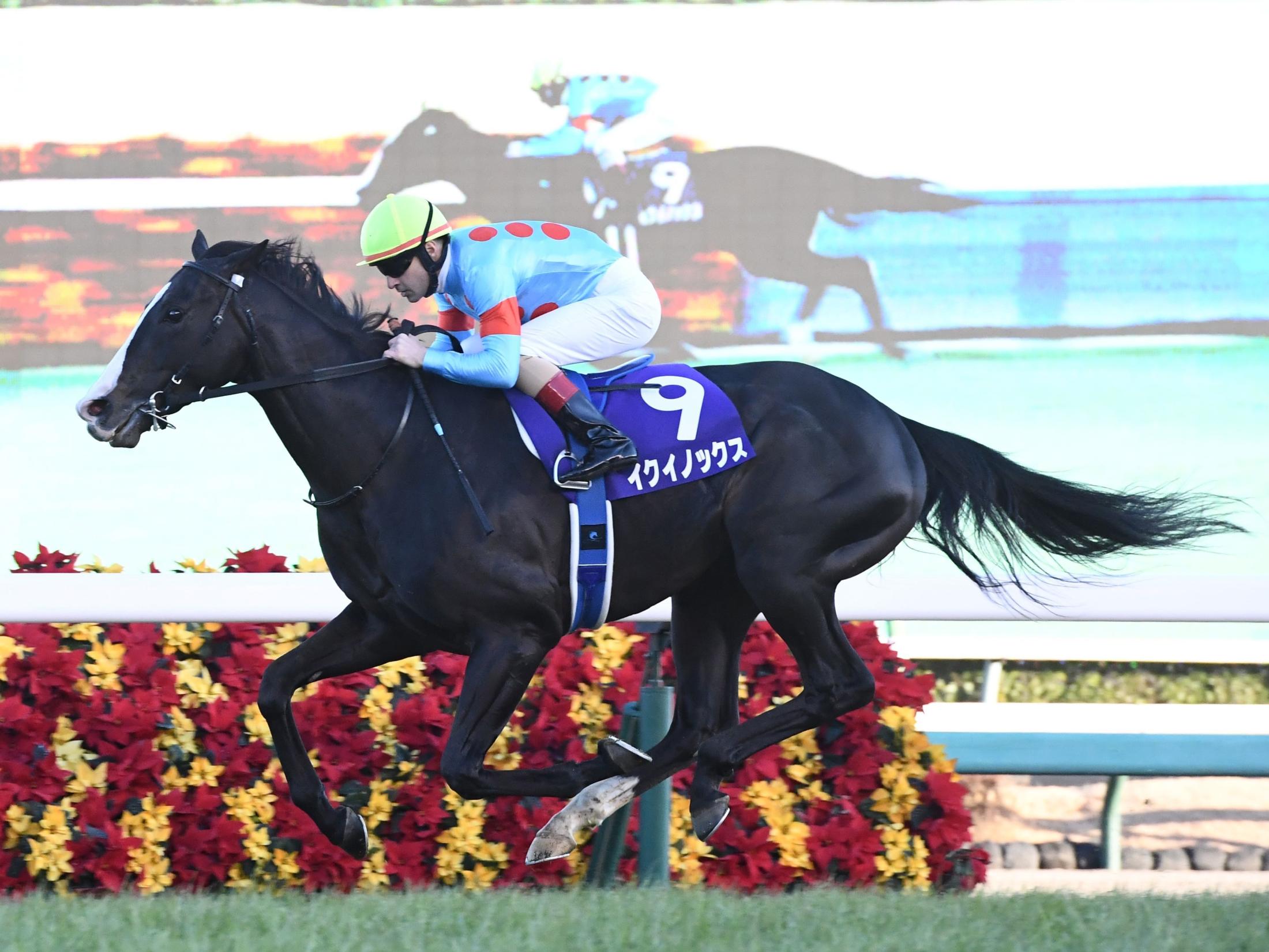 Horse of the Year メモリアルウォッチ イクイノックス 腕時計 競馬