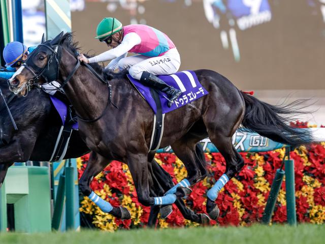 JRA・WIN5】2022年最後のWIN5は的中13票、配当4974万2480円 | 競馬ニュース - netkeiba