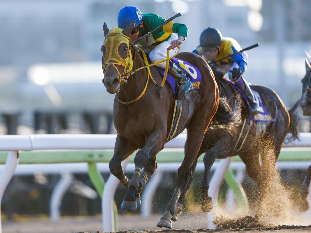 大井・東京大賞典結果】ウシュバテソーロが圧巻の差し切り！一気3連勝でGI制覇 | 競馬ニュース - netkeiba