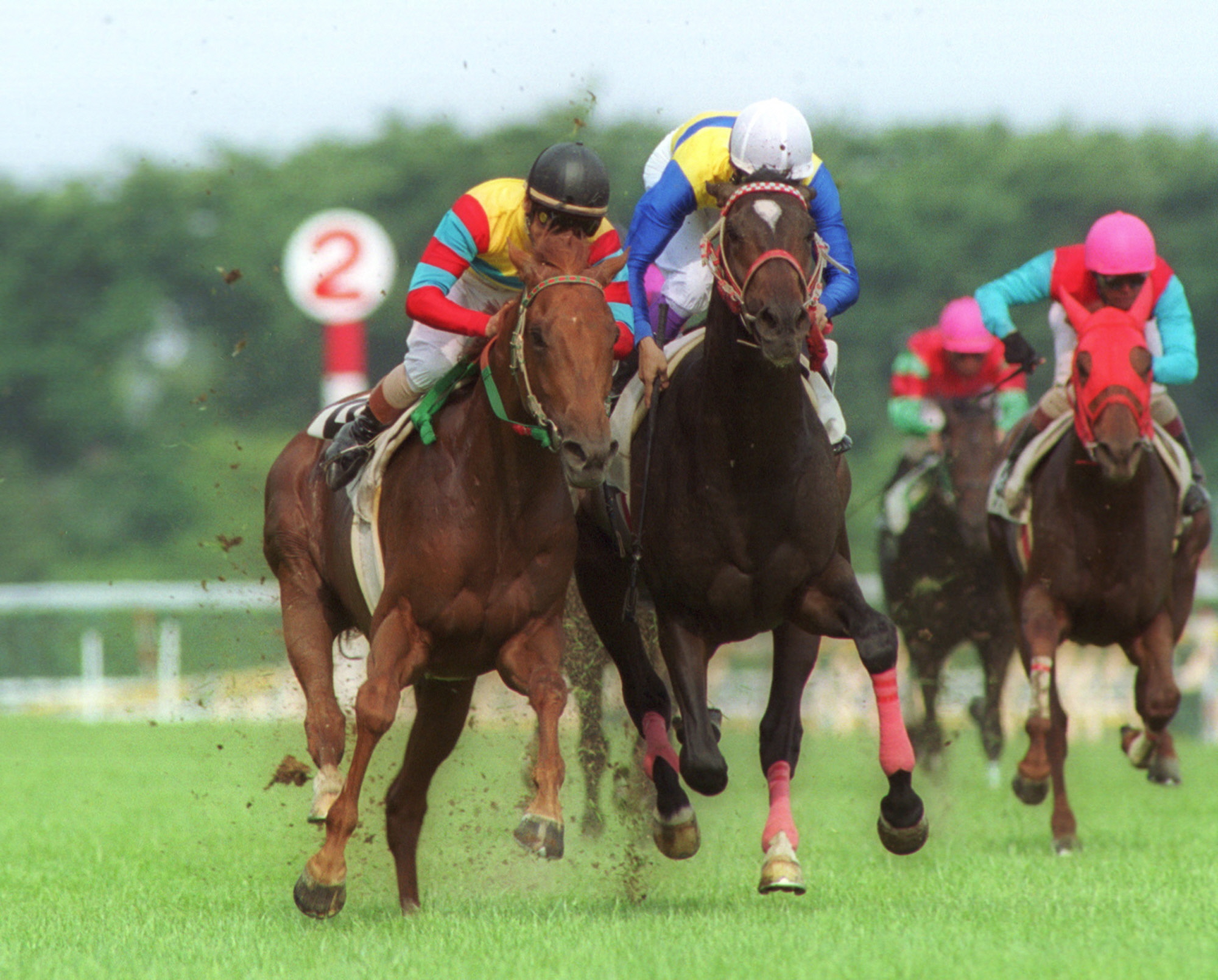 アグネスフライト❗️2000日本ダービー馬券コレクション競馬 - その他