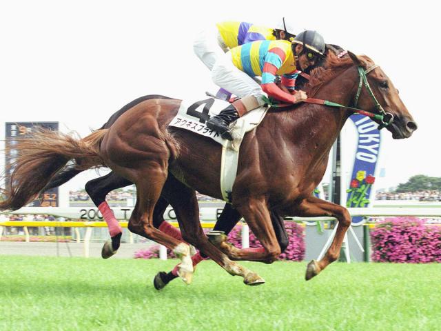 2000年ダービー馬アグネスフライト死す 26歳 北海道・社台ブルーグラス