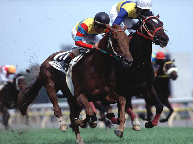 アグネスフライトが死亡 00年の日本ダービー馬 | 競馬ニュース