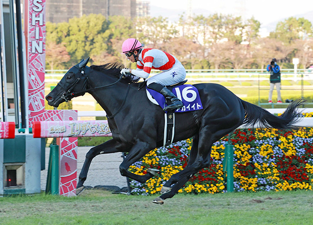 ２１年エリザベス女王杯覇者アカイイト引退 繁殖入りへ | 競馬ニュース - netkeiba