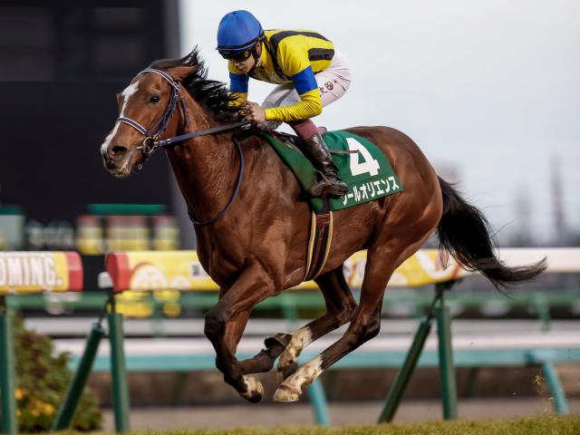 競馬 ソールオリエンス がたかっ 横山武史 直筆サイン入り A4写真 武豊 ルメール