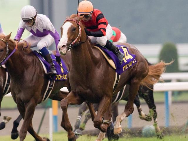 オウケンブルースリが種牡馬引退 08年菊花賞馬 主な産駒にオウケン