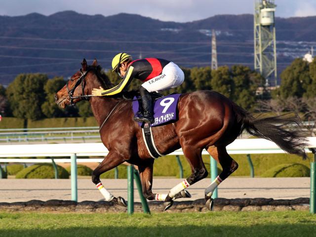 最優秀２歳牝馬リバティアイランドは桜花賞直行 鞍上は引き続き川田