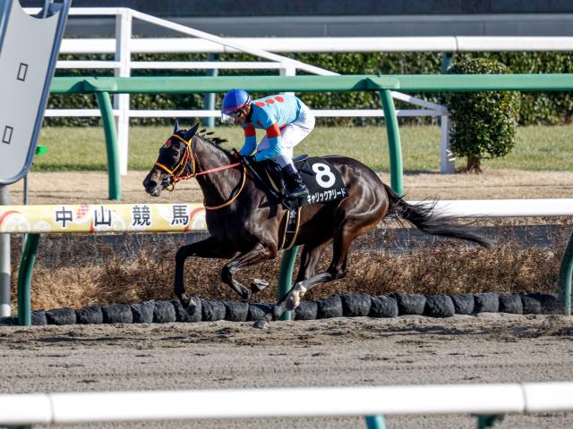 クライミングリリー 実使用ゼッケン 初富士S 戸崎圭太騎手騎乗 中山