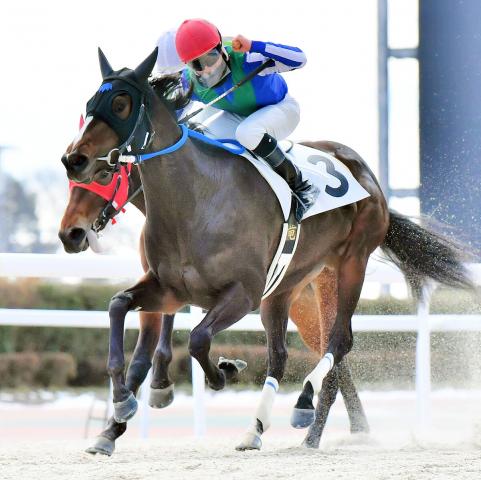 初Vお待たせしました! ジャングルポケット斉藤の所有馬 オマタセシマシタが10戦目で初勝利 | 競馬ニュース - netkeiba