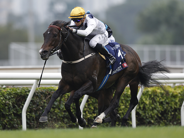 香港三強対決を制したG1・7勝馬ゴールデンシックスティ 今後は安田記念