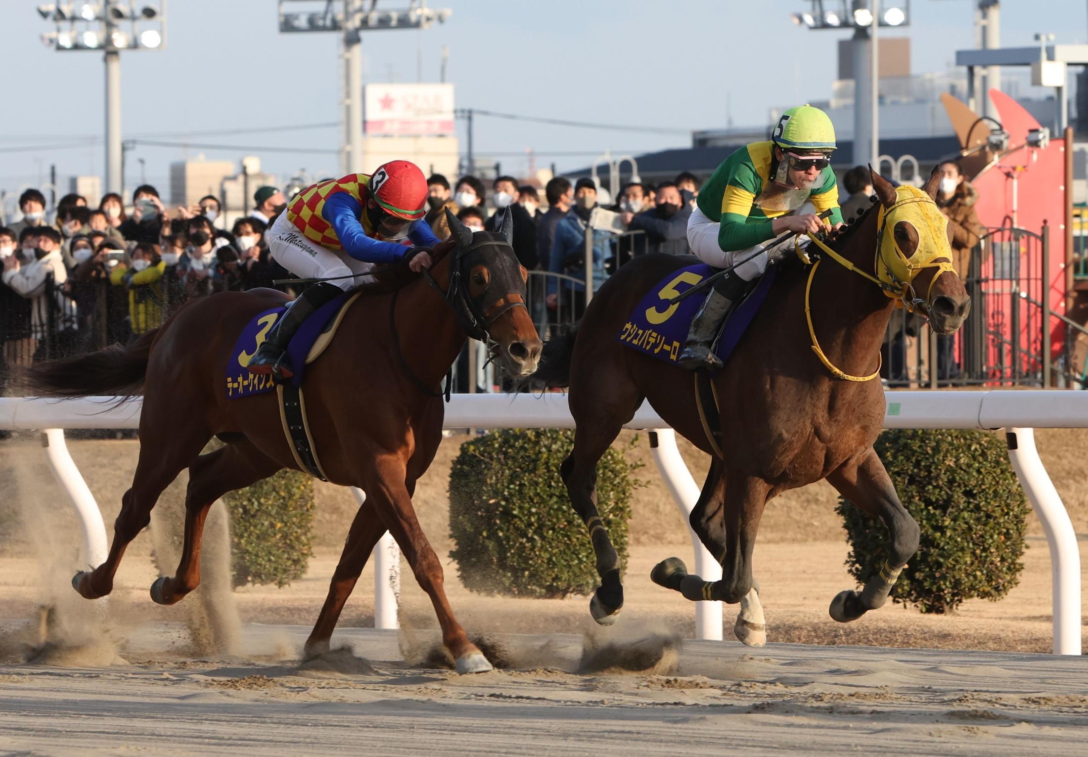 地方競馬】４連勝の大出世！ウシュバテソーロが川崎記念を制覇！ドバイ