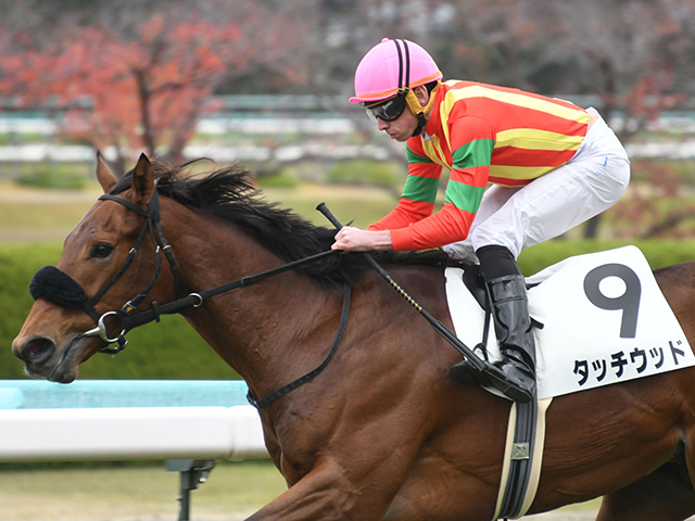 共同通信杯】“決め手” と“位置取り” が求められるレース 過去10年の