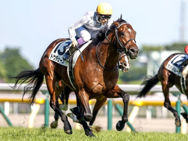 京都記念出走馬・騎手確定】ドウデュース&武豊騎手、エフ