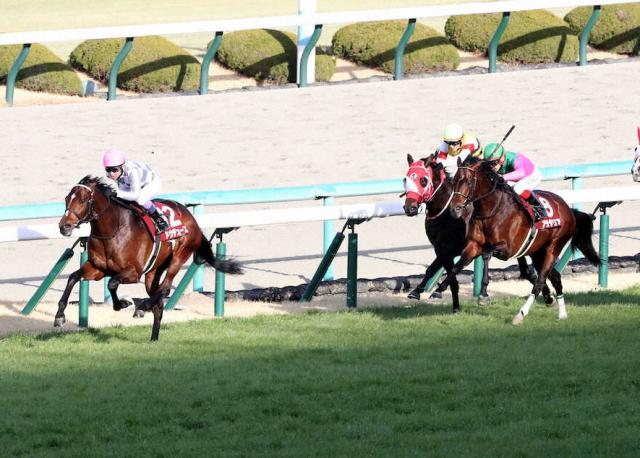 京都記念】ドウデュース圧勝!ドバイターフへ弾み 武豊「もう一度、最強