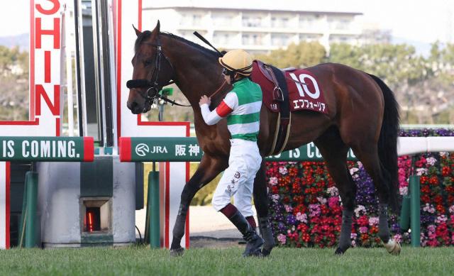 エフフォーリア引退、種牡馬入り 12日の京都記念で心房細動のため競走