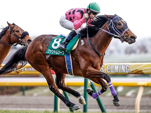 次走】共同通信杯覇者のファントムシーフが皐月賞へ直行 | 競馬