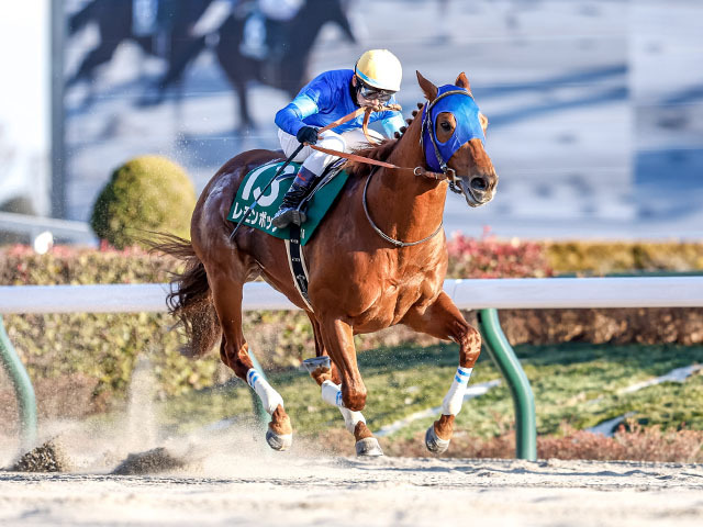 フェブラリーS結果】レモンポップが横綱相撲でGI初挑戦V デビューから11戦連続連対 | 競馬ニュース - netkeiba