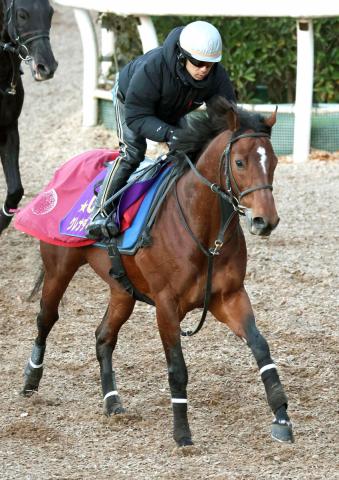 阪急杯】G1馬グレナディアガーズが重賞3勝目狙う 陣営「(前走は)力を