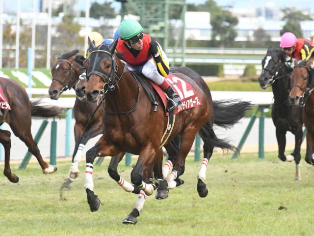 阪急杯出走馬・騎手確定】グレナディアガーズ&岩田望来騎手