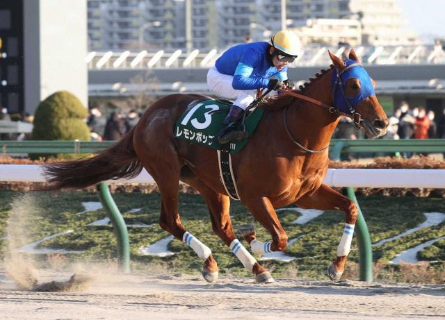 レモンジャスパー(ユニコーン 馬) ゴールデンプレナイト ラピスラズリ