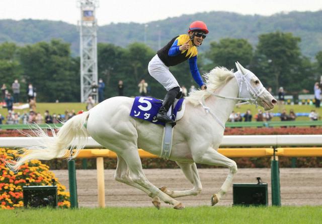 ソダシ 新鞍上レーンでヴィクトリアM連覇へ 海外メディア報じる | 競馬