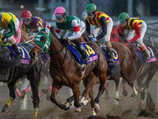 アネモネS】川崎所属のラビュリントス 地方馬として16年ぶりの勝利