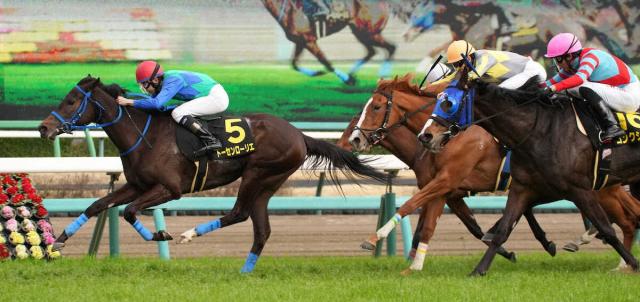 アネモネS】トーセンローリエV 横山和「結果を出せて良かった」2着