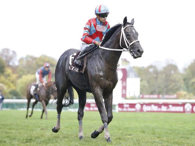 阪神大賞典でディープボンドが史上2頭目の3連覇狙う/今週の競馬界の ...