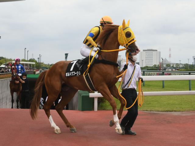 クーポン利用 スーパークリーク 京都大賞典【現地購入的中馬券